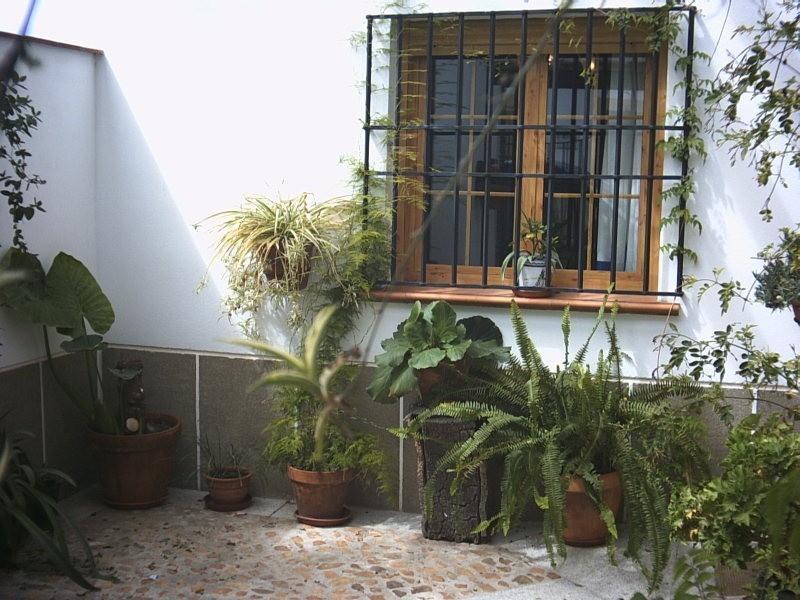 Casa Rural La Brena Talaván Exteriér fotografie