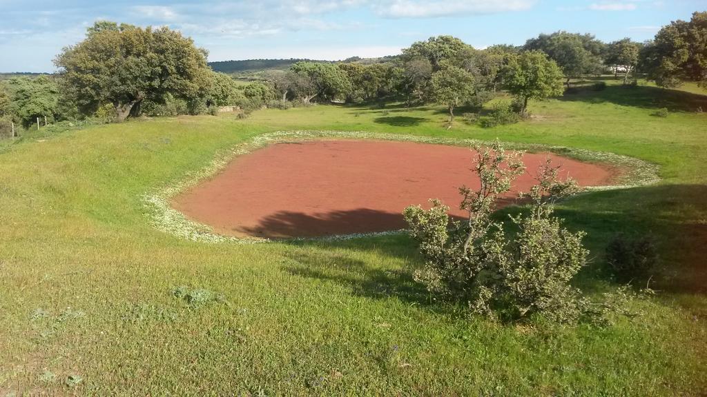 Casa Rural La Brena Talaván Exteriér fotografie